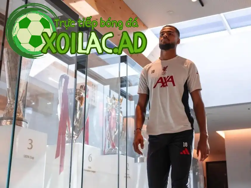 Mục tiêu của Gakpo năm nay sẽ là chức vô địch Champions League (Ảnh: LFC)