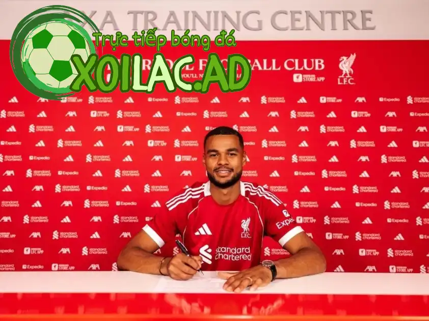 gakpo hop dong moi liverpool 68b3cef7675ba