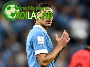 goal 7 68b6a6045938f