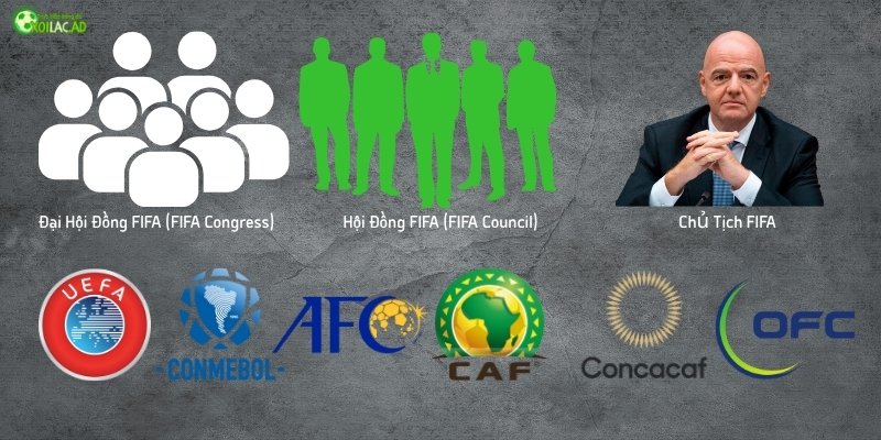 Cơ cấu tổ chức của FIFA hiện tại